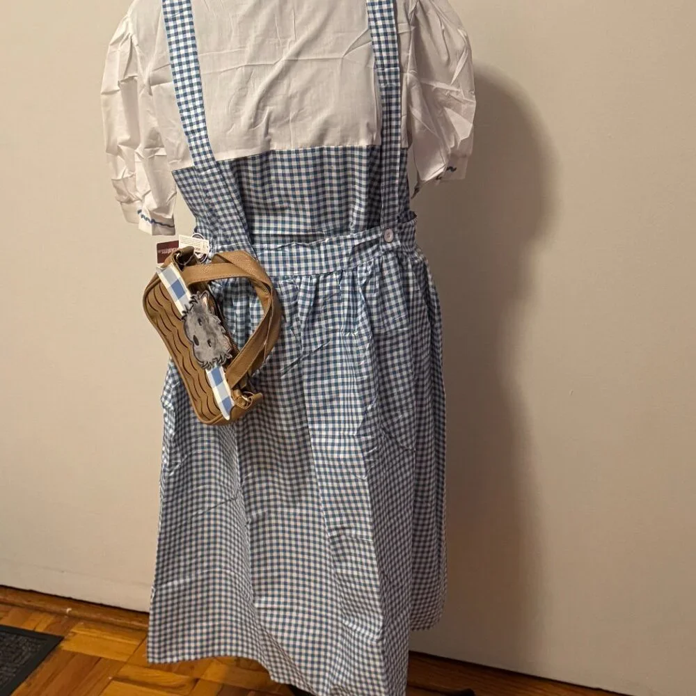 Plus Size Wizard Os Dress, Wig and Bag - Picture 4 of 7